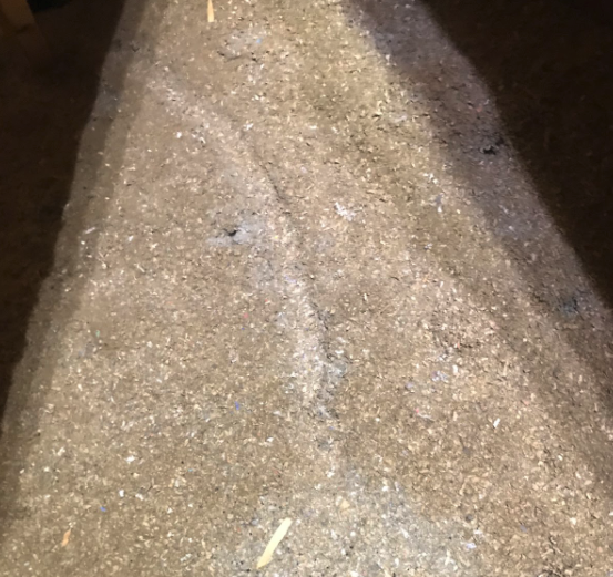 Attic disinfection & remediation for rodent damage
