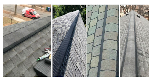 How Bat Removal Works (A Comprehensive Guide For Minnesota Property ...